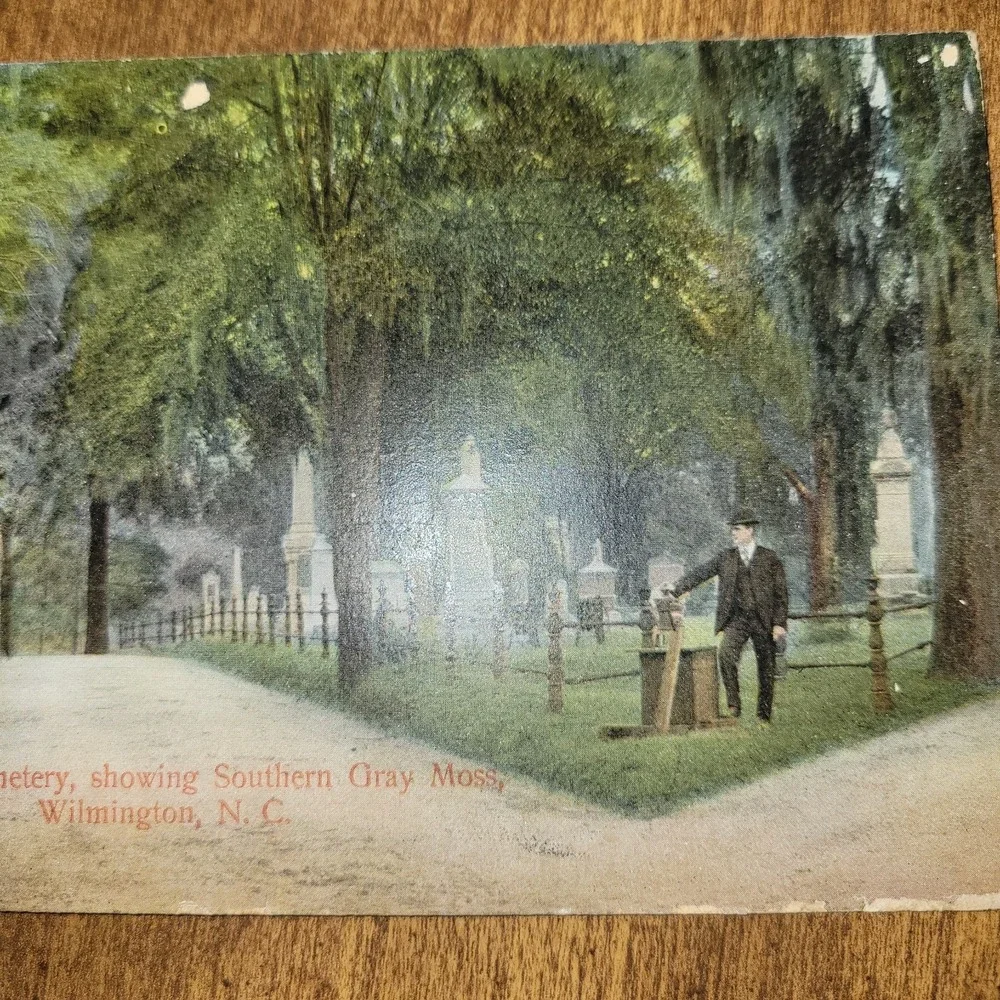 1908 Oakdale Cemetery Wilmington NC Postcard Southern Gray‎ Moss North...